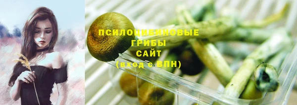 mdpv Ельня