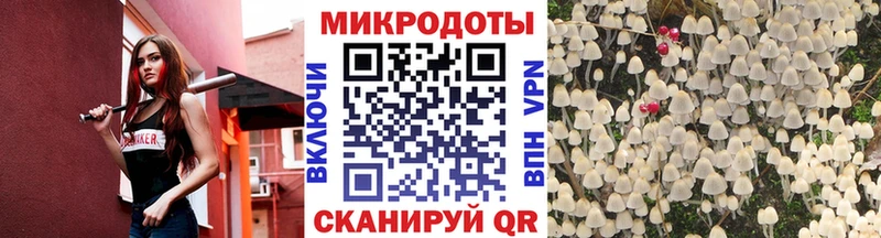Псилоцибиновые грибы Psilocybine cubensis  Инза 